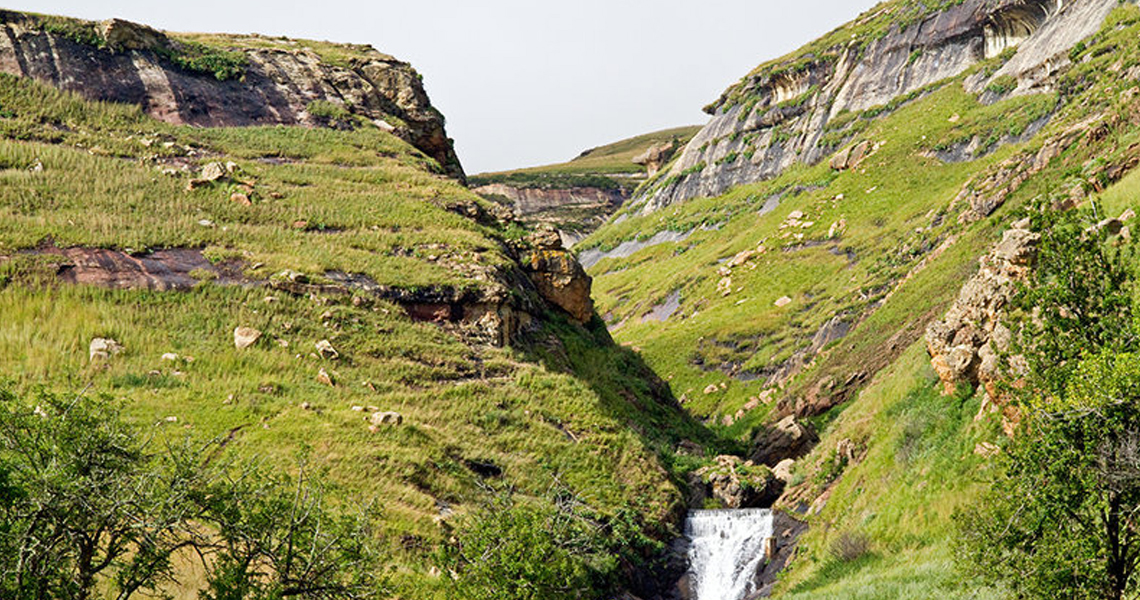 Rhebok Hiking Trail
