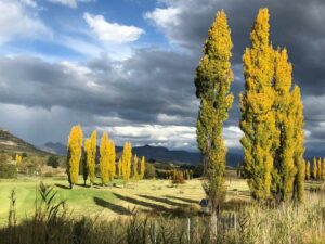 Birchwood A & B @ Clarens