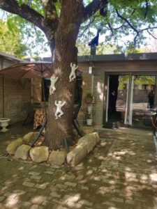 Gods Gift cottage and Mattaniah Cottage
