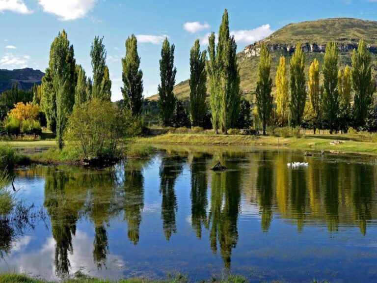 Ultimate Guide to Visiting Clarens in December and January: Top 20 Activities 