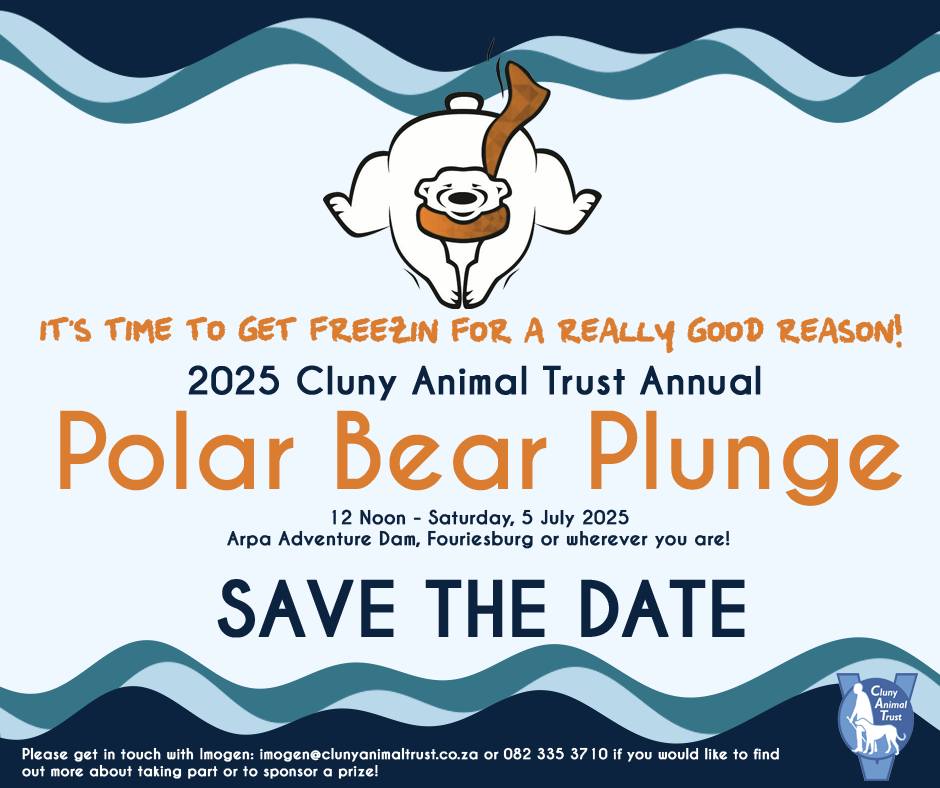 POLAR BEAR PLUNGE